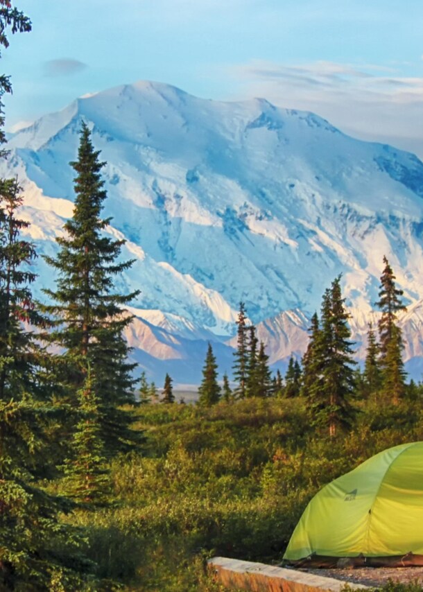 Grünes Zelt auf einer Wiese mit Nadelbäumen vor schneebedecktem Berg unter blauem Himmel