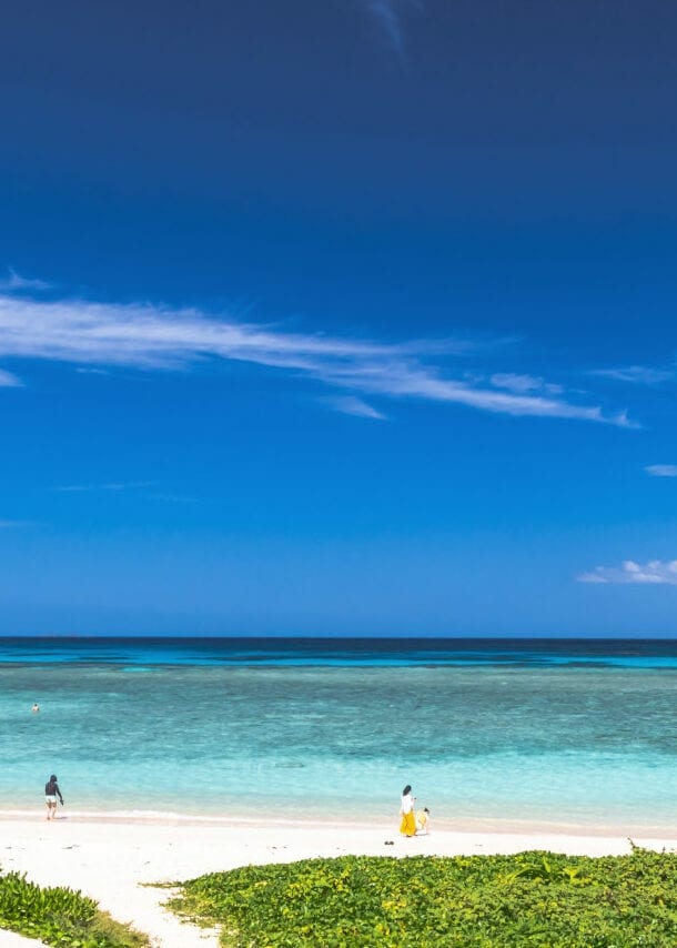 Weitläufiger weißer Sandstrand mit grünen Pflanzen am türkisfarbenen Meer unter blauem Himmel.