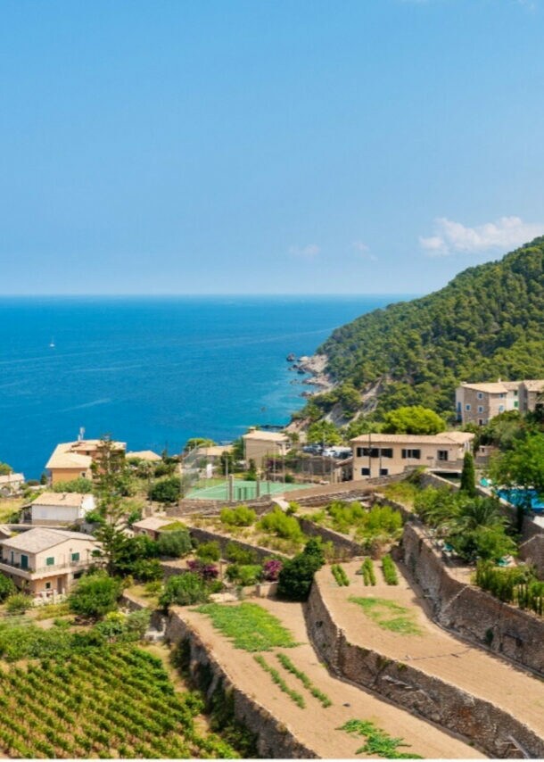 Blick auf terrassierte Weinberge und Häuser an der Küste mit grün bewaldeten Hügeln und blauem Himmel.