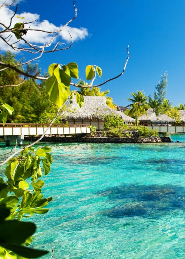 Überwasserbungalows mit Strohdächern über klarem, türkisfarbenem Wasser unter blauem Himmel