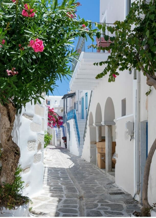 Enger gepflasterter Gehweg zwischen weißen Häusern mit blühendem Oleanderbaum und einer Treppe mit schwarzem Geländer unter blauem Himmel