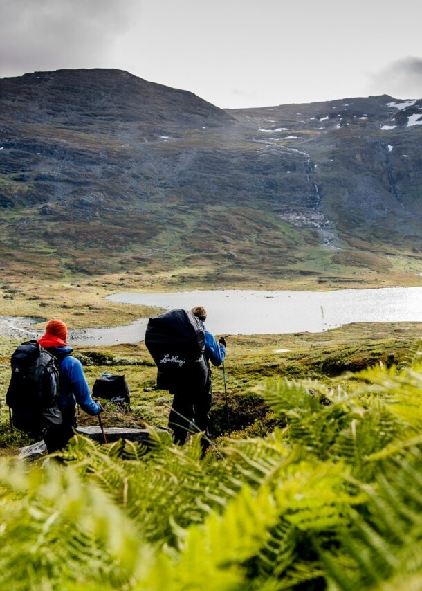 Zwei Wanderer mit Rucksäcken gehen durch eine grüne Farnlandschaft in den Bergen, im Hintergrund ein See und bewaldete Hügel.