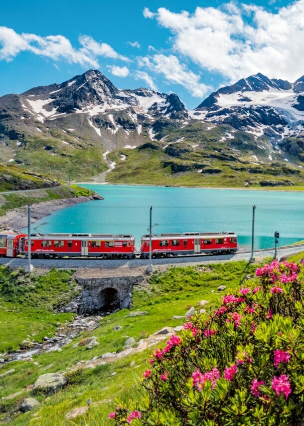Roter Zug fährt entlang eines Bergsees in den Alpen, umgeben von grünen Wiesen, Alpenrosen und schneebedeckten Gipfeln.