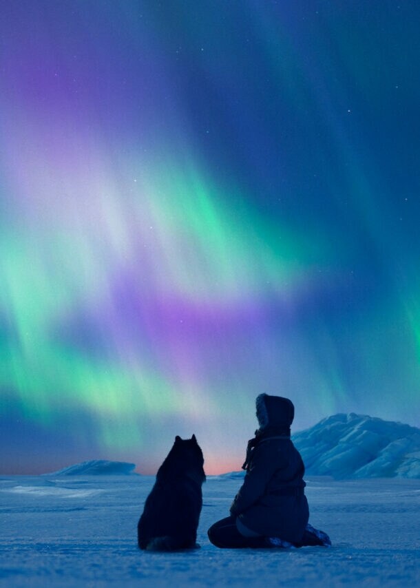 Person und Hund sitzen auf schneebedecktem Boden und blicken auf grün-violette Nordlichter am Nachthimmel in Finnland.