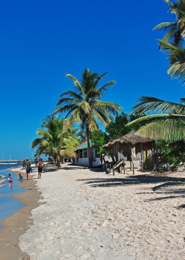 Personen an einem tropischen Sandstrand mit Palmen unter blauem Himmel.