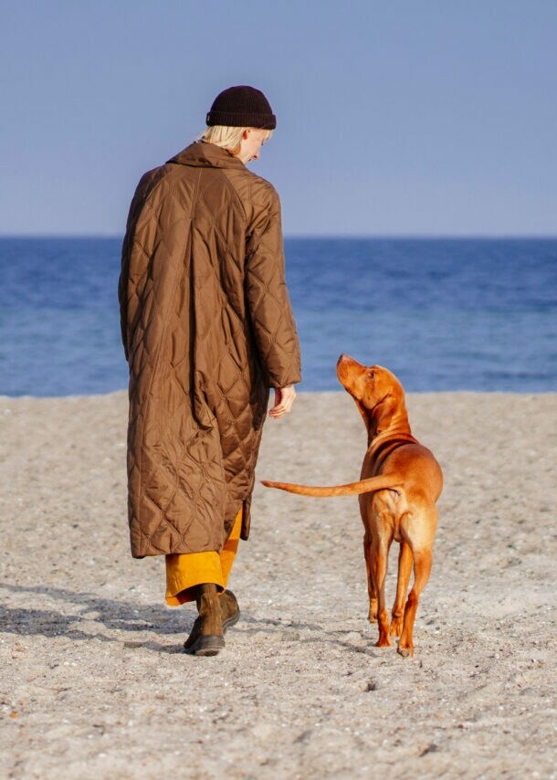 Rückansicht einer Frau im langen Steppmantel neben einem Hund am Sandstrand bei Sonnenschein.