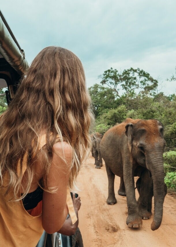 Eine Frau schaut aus einem Jeep heraus auf einen Elefanten.