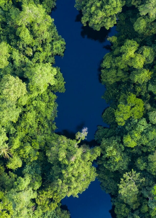 Luftaufnahme eines schmalen, dunkelblauen Flusses, der von dichtem, grünem Regenwald umgeben ist, im Taman Negara Nationalpark.
