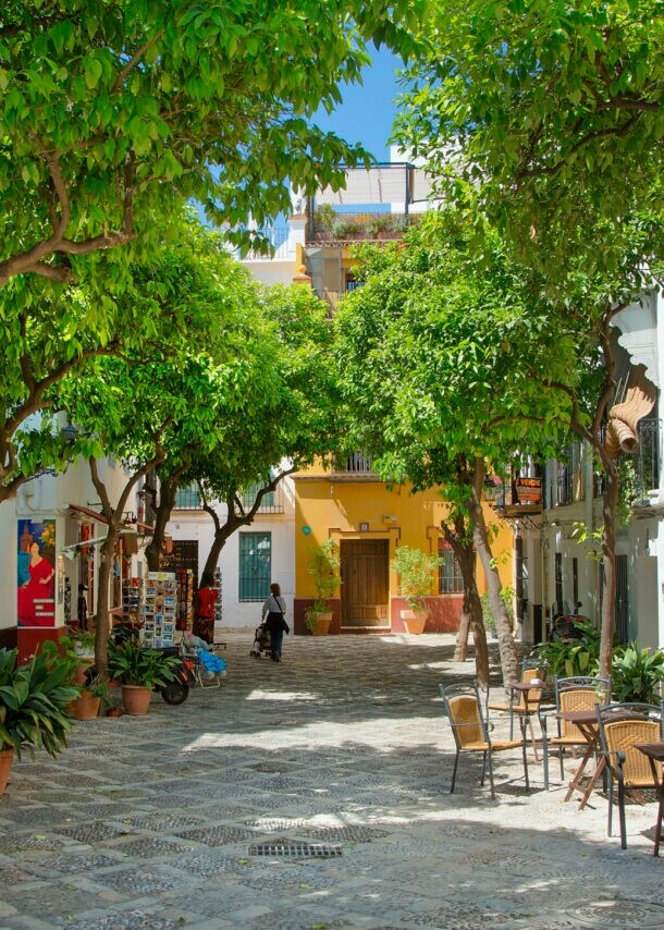 Über einem ruhigen urigen Platz in Sevilla spenden grüne Bäume Schatten.