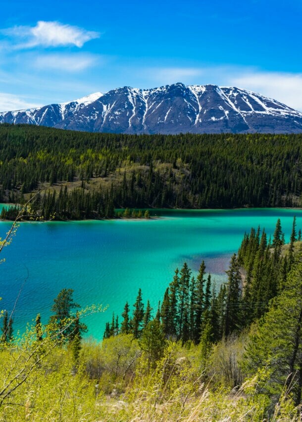 Blick auf den türkisfarbenen Emerald Lake im Yukon, mit grünem Nadelwald und schneebedeckten Bergen im Hintergrund.