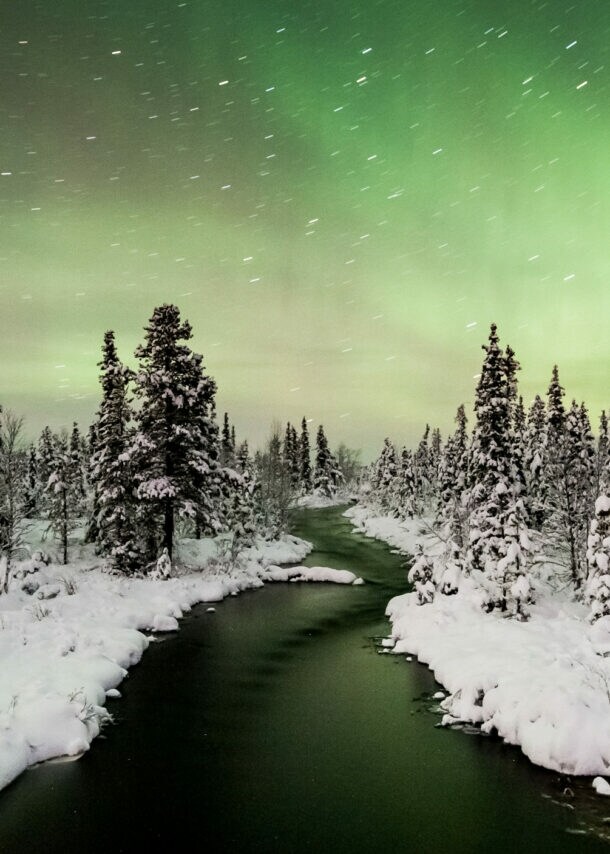 Schneebedeckter Fluss fließt durch einen Wald mit Tannen unter grünem Nordlicht am Himmel in Schweden.