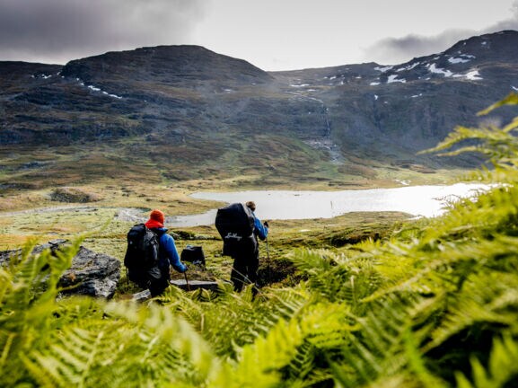 Zwei Wanderer mit Rucksäcken gehen durch eine grüne Farnlandschaft in den Bergen, im Hintergrund ein See und bewaldete Hügel.