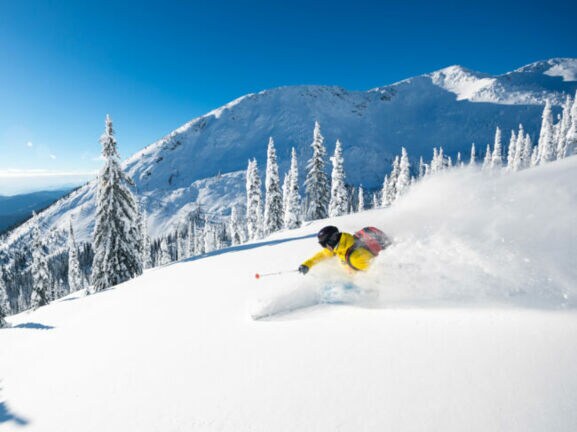 Ein Skifahrer fährt im Tiefschnee einen Hang mit Tannen hinunter vor verschneitem Bergpanorama unter blauem Himmel bei Sonnenschein.
