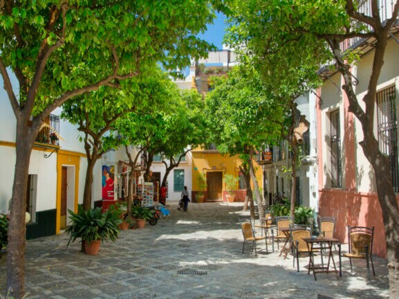 Über einem ruhigen urigen Platz in Sevilla spenden grüne Bäume Schatten.