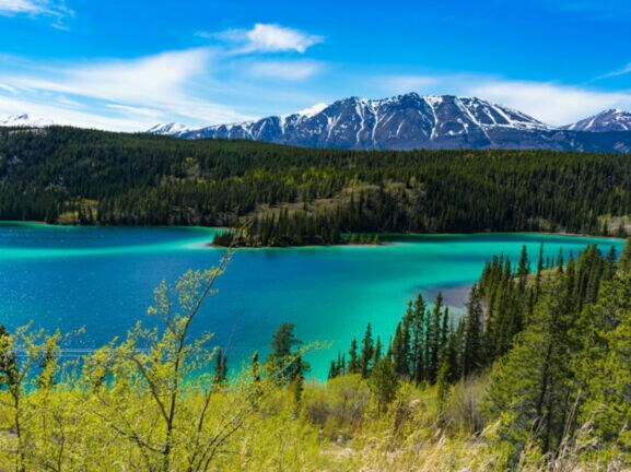 Blick auf den türkisfarbenen Emerald Lake im Yukon, mit grünem Nadelwald und schneebedeckten Bergen im Hintergrund.