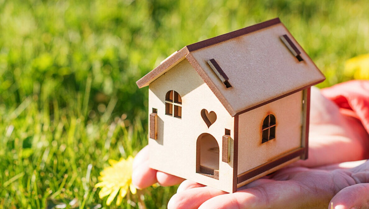 Zwei Hände halten ein kleines Modellhaus aus Holz über eine Wiese mit Löwenzahn