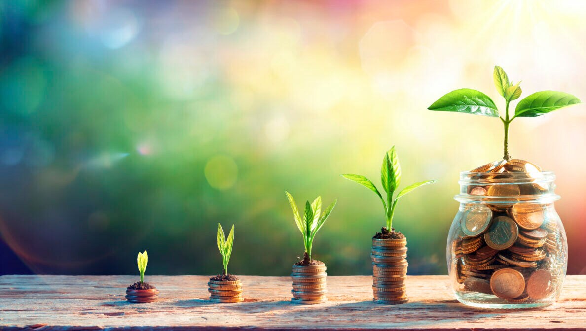 Vier immer größer werdende Münzstapel sowie am Ende ein Glas voller Münzen, auf denen eine Pflanze wächst, die immer größer wird
