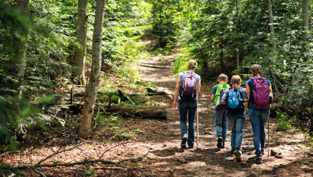 Eine Familien mit Kindern wandert mit Rucksäcken und Wanderstöcken einen Waldpfad hinauf