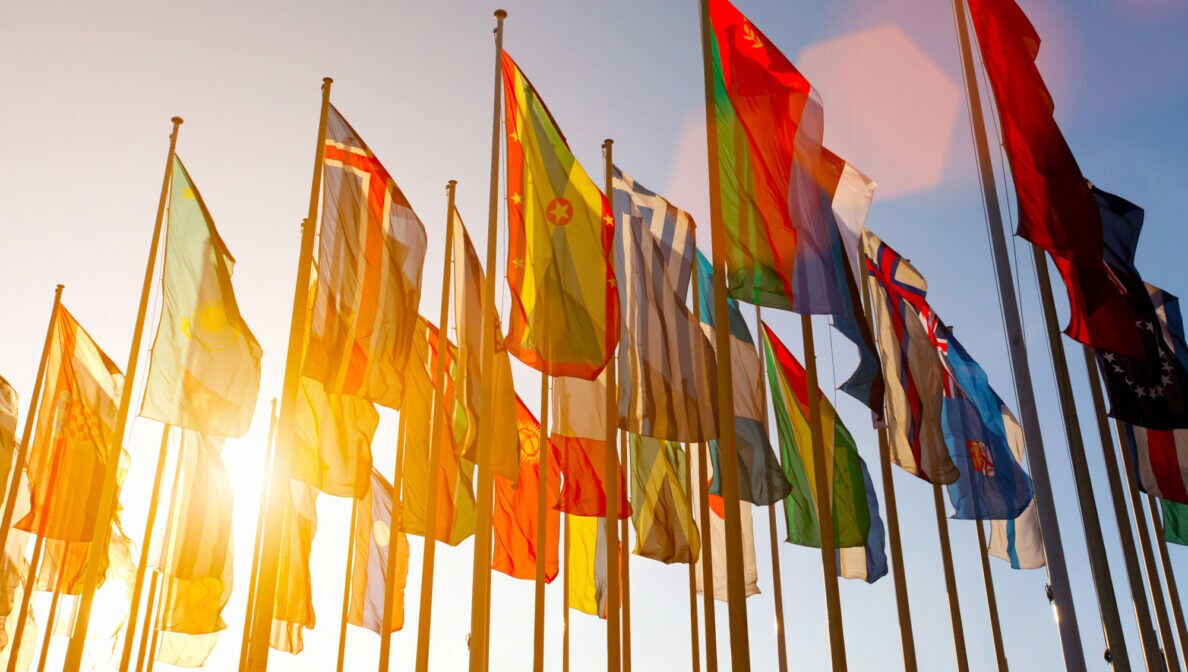 Mehrere Flaggen unterschiedlicher Länder zusammen aufgereiht.