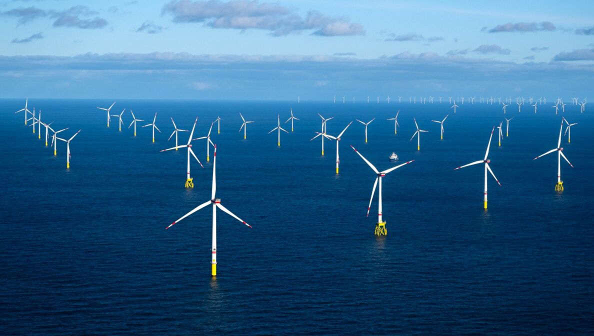 Windkraft auf See