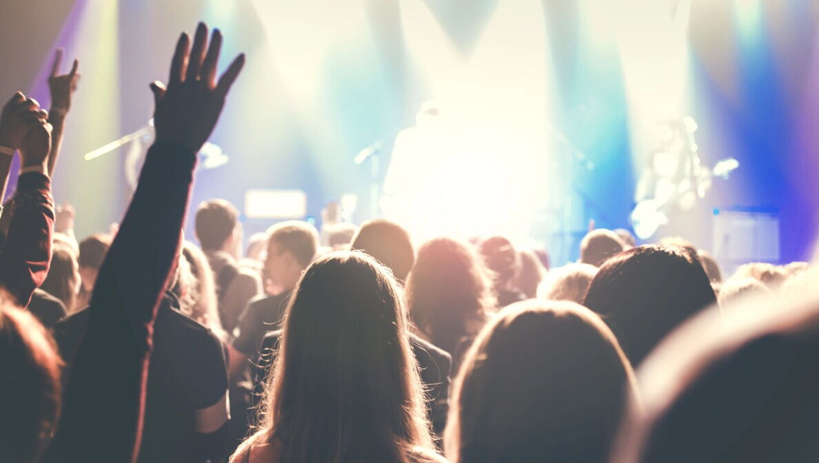Artikelbild: Konzert mit Lichtershow und jubelten Armen