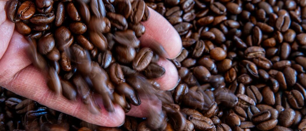 Eine Hand schüttet geröstete Kaffeebohnen auf eine Schale. Die Preise für Rohkaffee sind in den letzten Wochen gestiegen. (zu dpa: «Marktforscher: Kaffee verliert junge Käufer»)