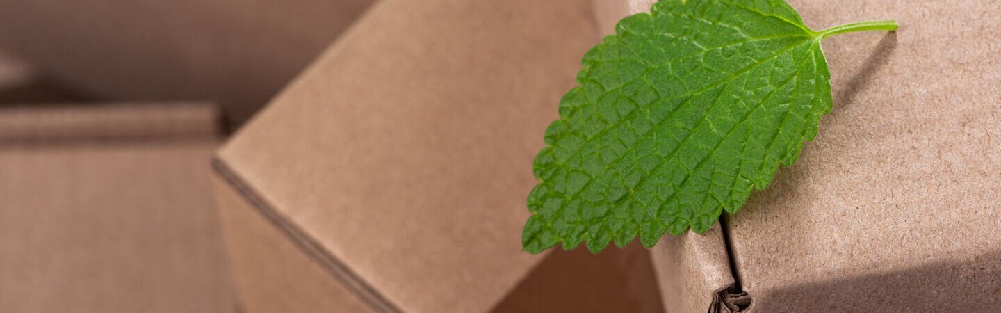 wachstum-dank-nachhaltigkeit-