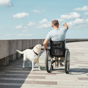 Eine Person im Rollstuhl in der Rückansicht, daneben ein Hund