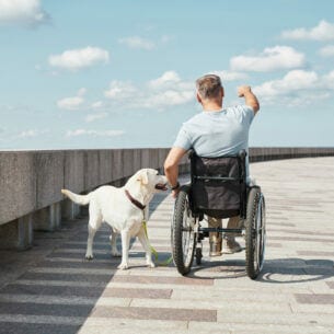 Eine Person im Rollstuhl in der Rückansicht, daneben ein Hund