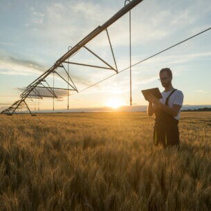 Eine Person steht im Getreidefeld im Sonnenuntergang und blickt auf ein Tablet.
