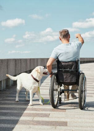 Eine Person im Rollstuhl in der Rückansicht, daneben ein Hund