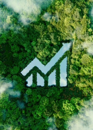 Blick von oben auf einen Wald mit Nebelschwaden, in der Mitte ist ein See in Form einer Aktienkurve dargestellt.