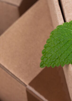 wachstum-dank-nachhaltigkeit-