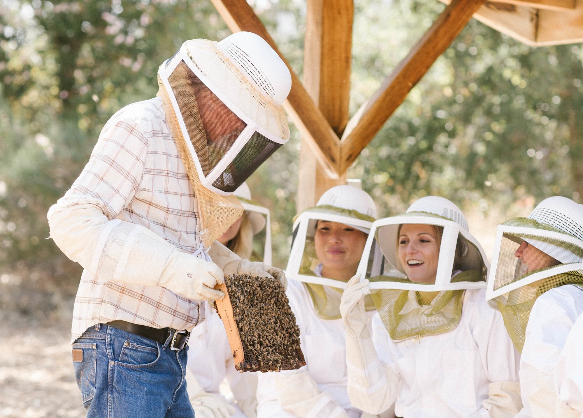 An elderly man in a beekeeping hood and gloves shows a rack of bees from a hive to a row of astounded guests, also in beekeeping gear.