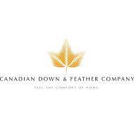 Perfect White Feather &amp; Down Pillow (King)