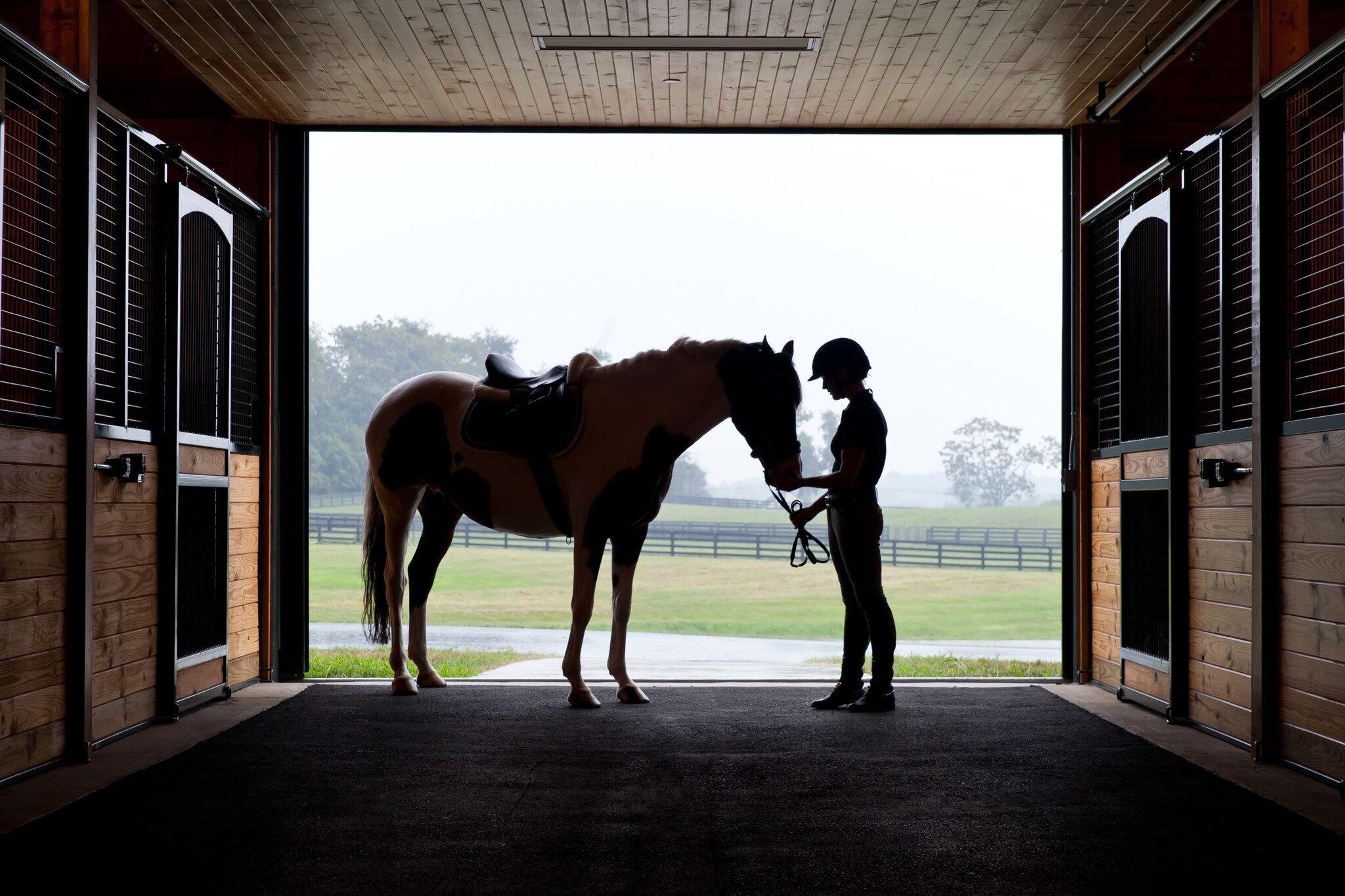  A saddled horse and someone in a riding helmet feeding the horse are silhouetted against a misty field in the open doorway of a stable.