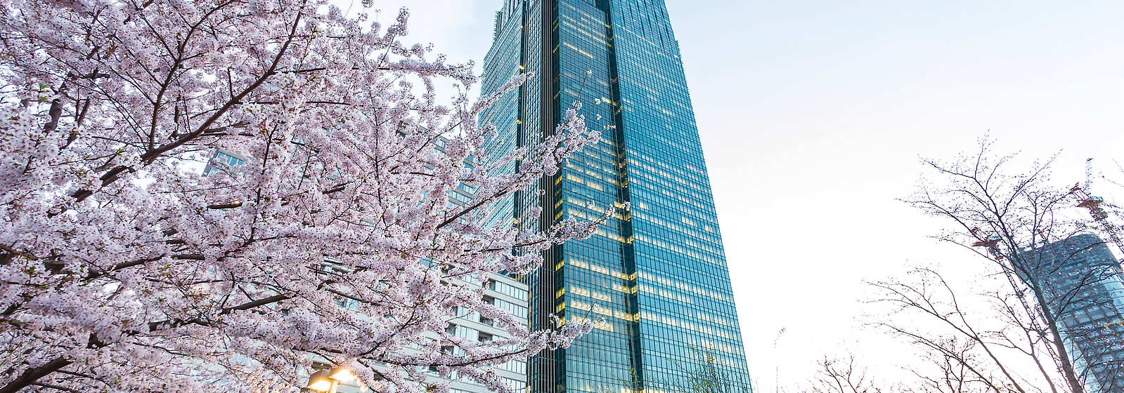 The Ritz-Carlton, Tokyo exterior 