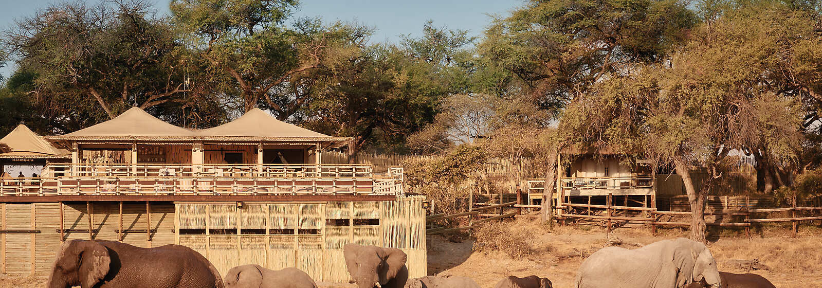 Savute Elephant Lodge Exterior 