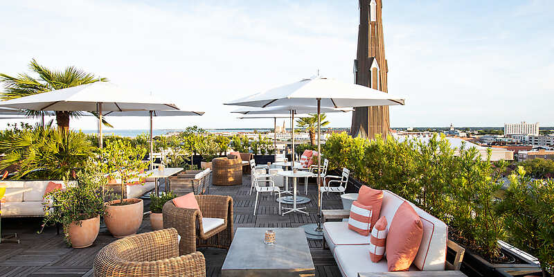 The Dewberry