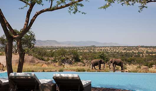 Enjoy poolside relaxation while looking out to the animal watering hole and the Serengeti beyond