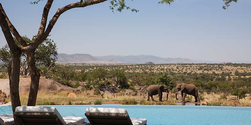 Four Seasons Safari Lodge Serengeti