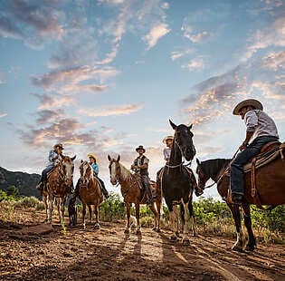 Group of adults sitting on horseback along a countryside trail, accompanied by two dogs at Gateway Canyons Resort & Spa.