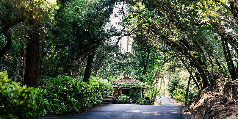 Meadowood Napa Valley
