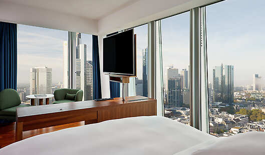 Skyline Deluxe Guestroom View