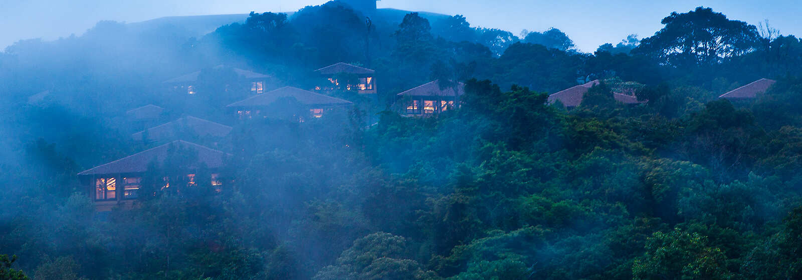 Set amidst 180 acres of living, breathing rainforest