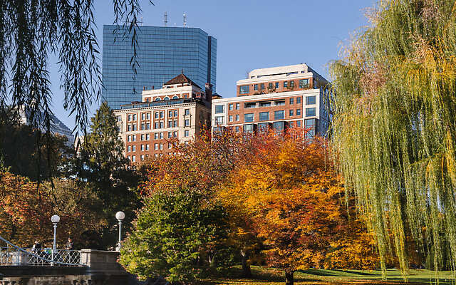 The Newbury Boston