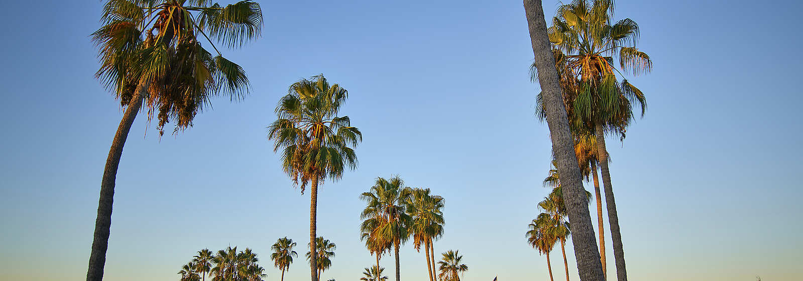 View of hotel and towers from guestroom balcony