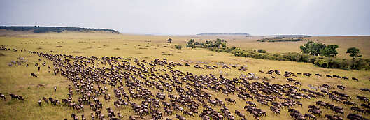 Abercrombie & Kent The Great Migration Safari in Style Small Group Journey