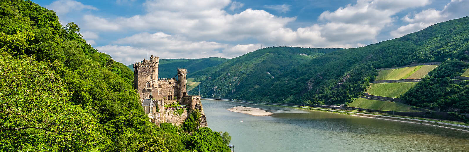 A historic castle is built into lush forest along the Rhine river 