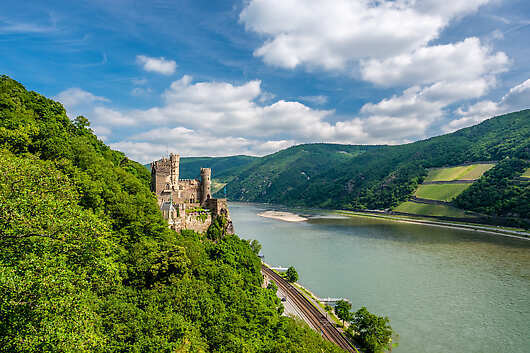 A historic castle is built into lush forest along the Rhine river 